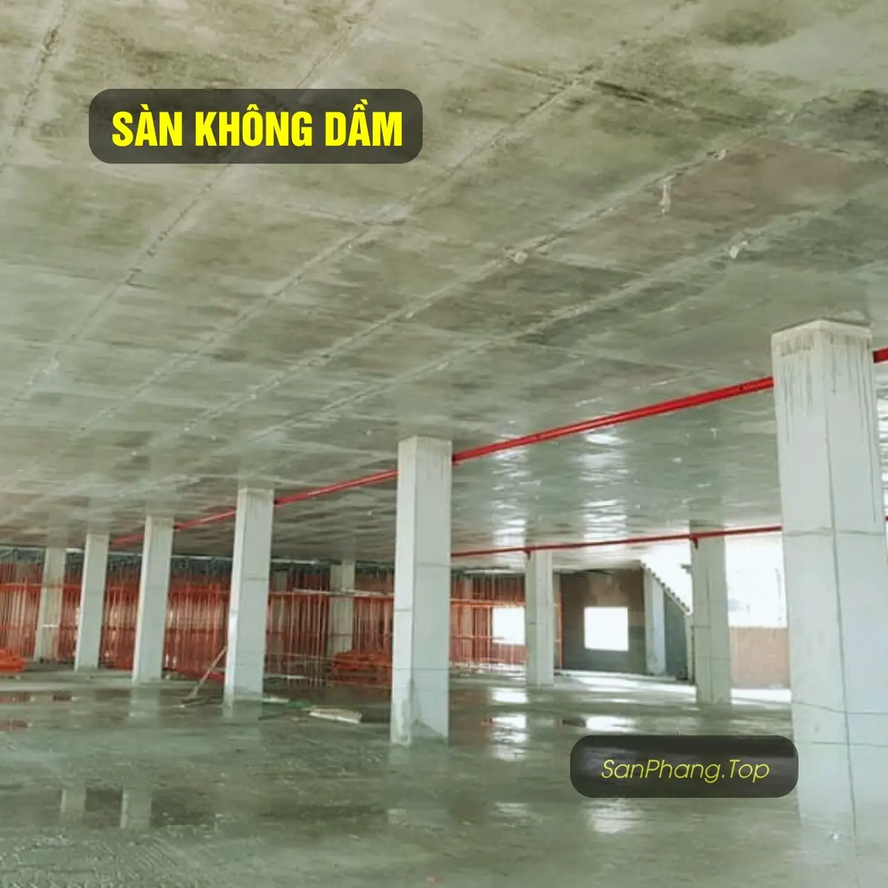 An open book with a picture of a woman on it